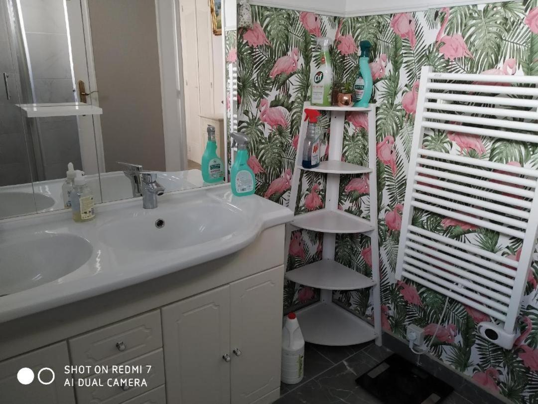 Chambres Tout Confort,Gare Tgv ,Wifi,Clim, Parking,Pt Dejeuner Perpignan Exteriér fotografie